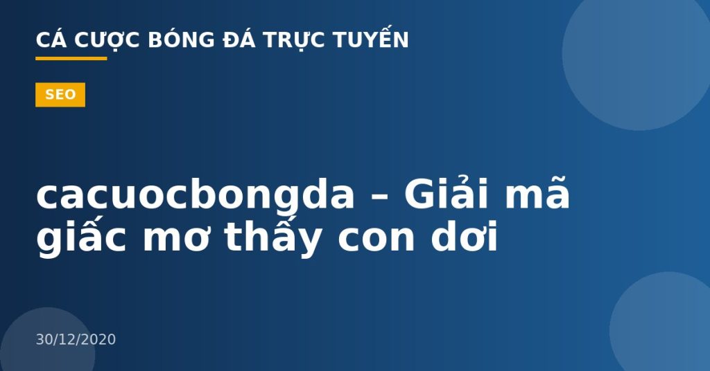 cacuocbongda – Giải mã giấc mơ thấy con dơi