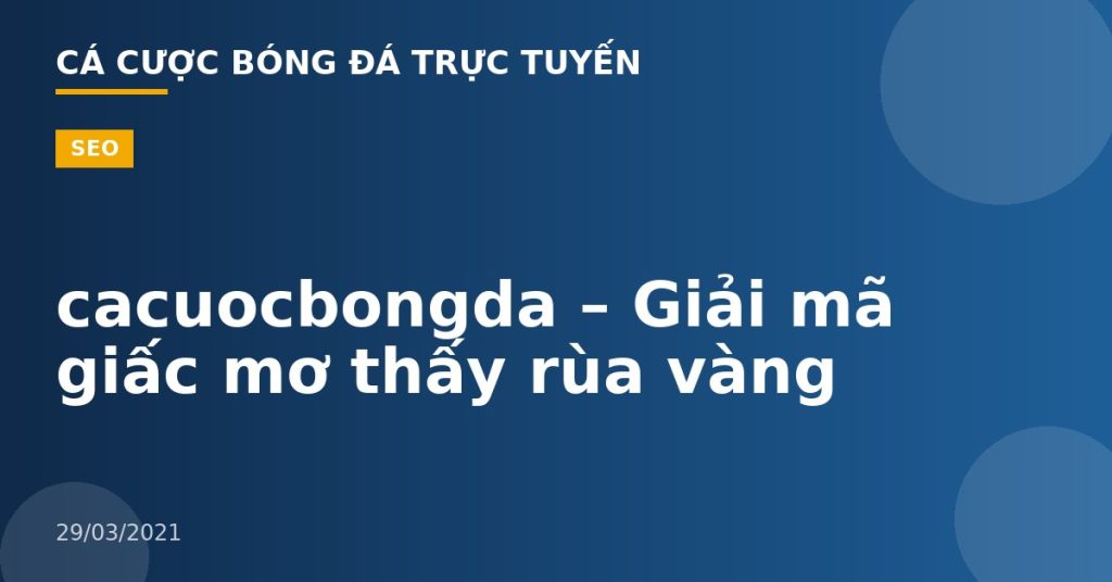cacuocbongda – Giải mã giấc mơ thấy rùa vàng